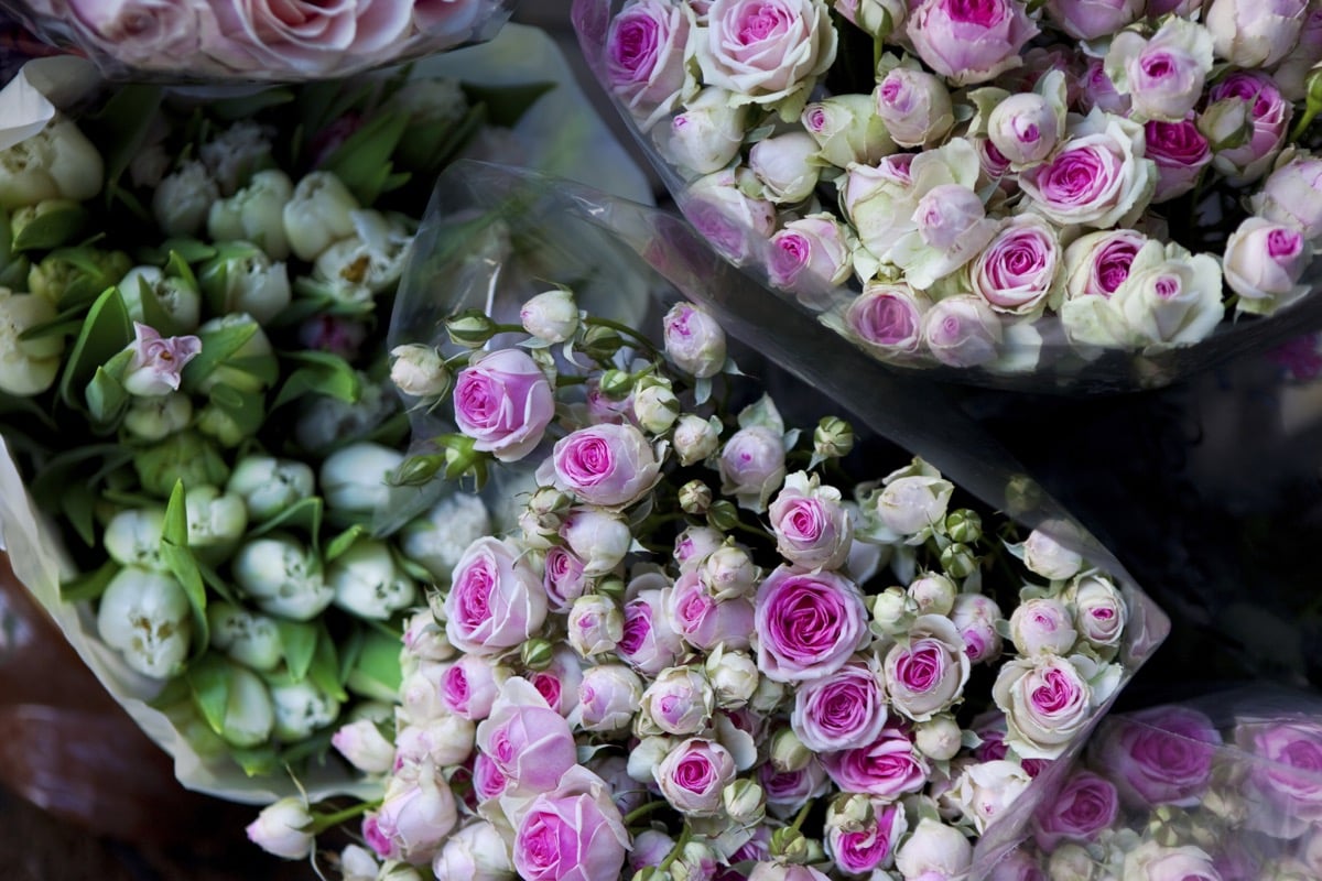 iStock_000089108065_Large-1.jpg