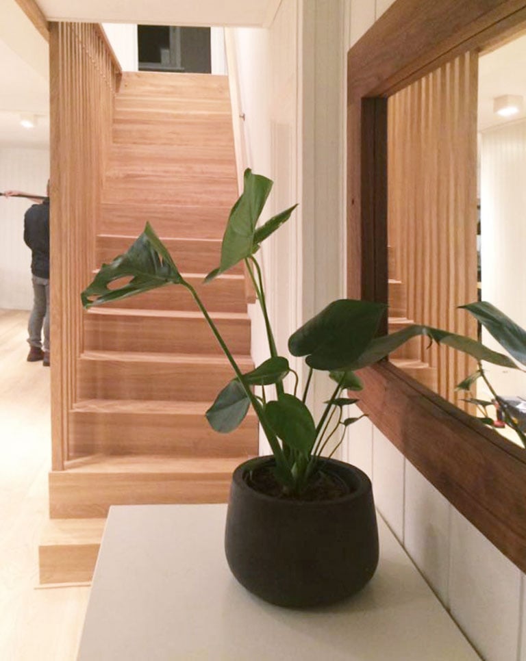 floriss-monstera-vindusblad-3.jpg