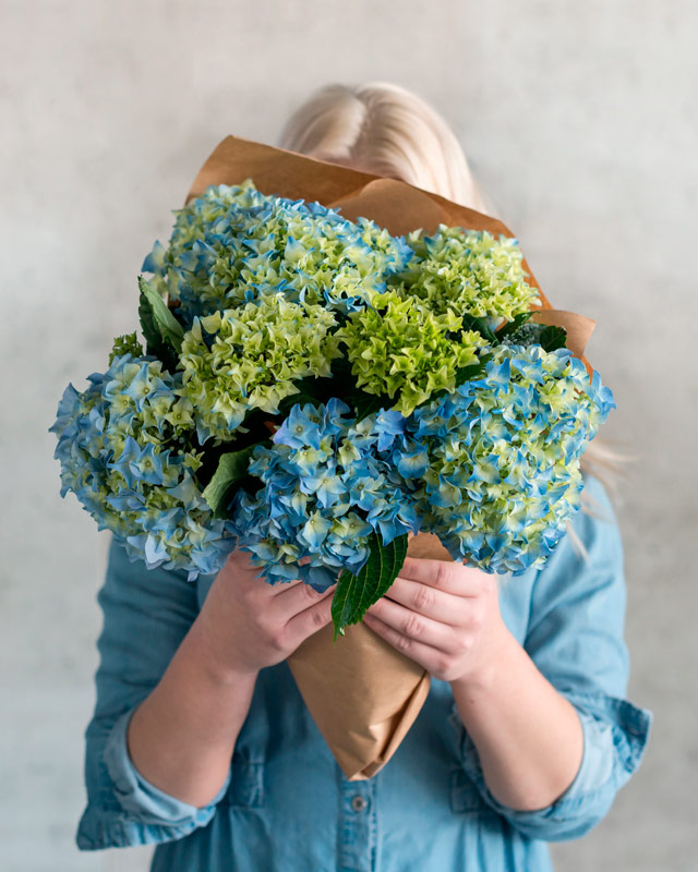 bukett-med-hortensia-magical-2.jpg
