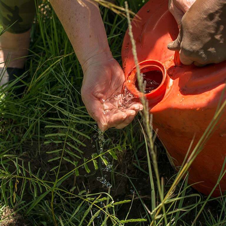 treplanting-i-kenya-vann-fra-dunk-d.jpg
