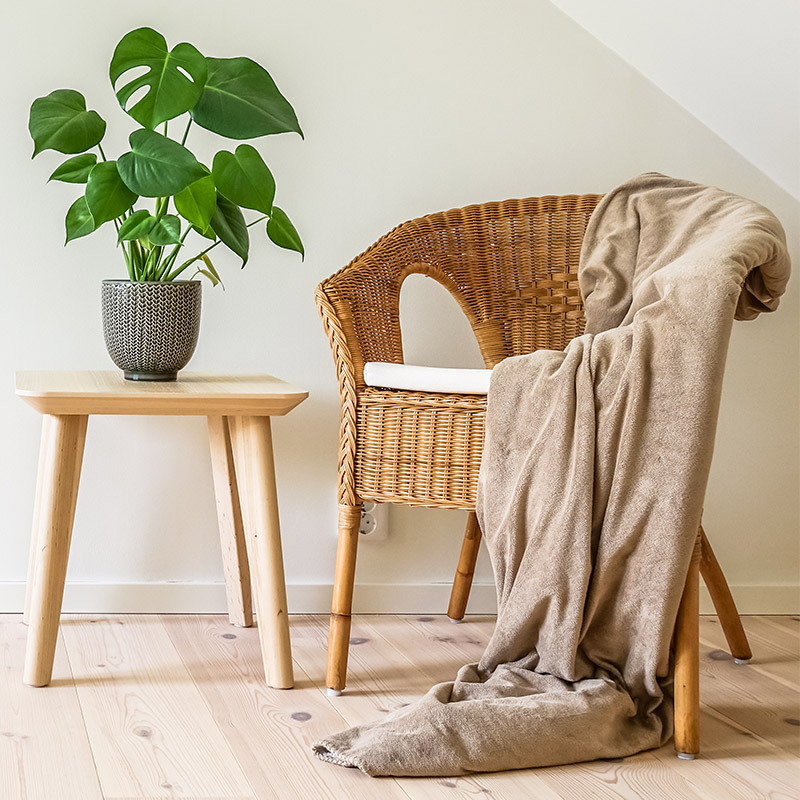 groenne-planter-monstera-vindusblad-1.jpg
