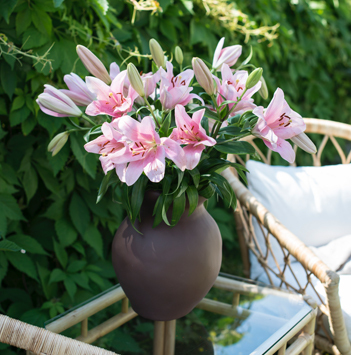 liljer-er-snittblomstenes-ballerina-passer-i-hagen-sommer-som-vinter-2.jpg