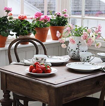 pelargonia-til-festbordet.jpg