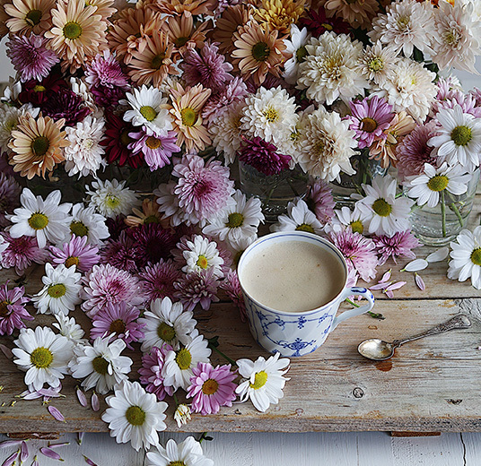 pynt paa-bordet-krysantemum-som-snittblomst-floriss.jpg