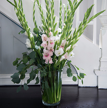 gladioler-dsc1814-floriss.jpg