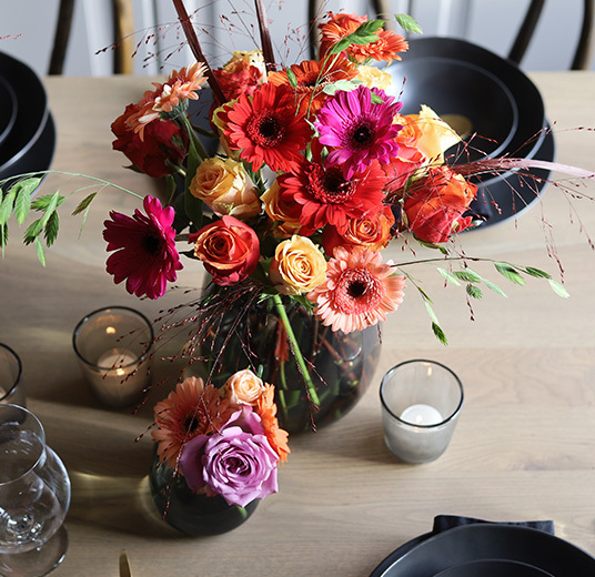 farger-som-gleder-far-festroser-germini-5.jpg