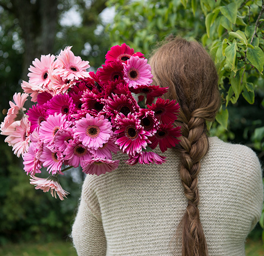 germini-allsidig-gledesspreder-1-floriss.jpg