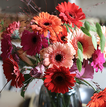 germini-allsidig-gledesspreder-7-floriss.jpg