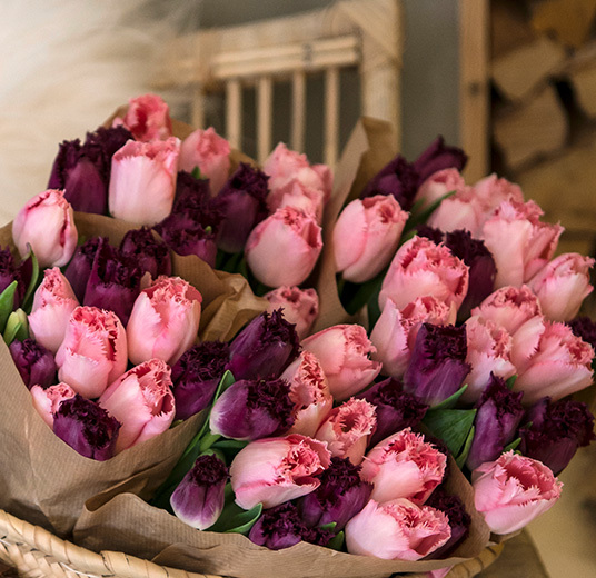 interiortulipaner-paaske-5-interior-tulipaner-2022-floriss.jpg