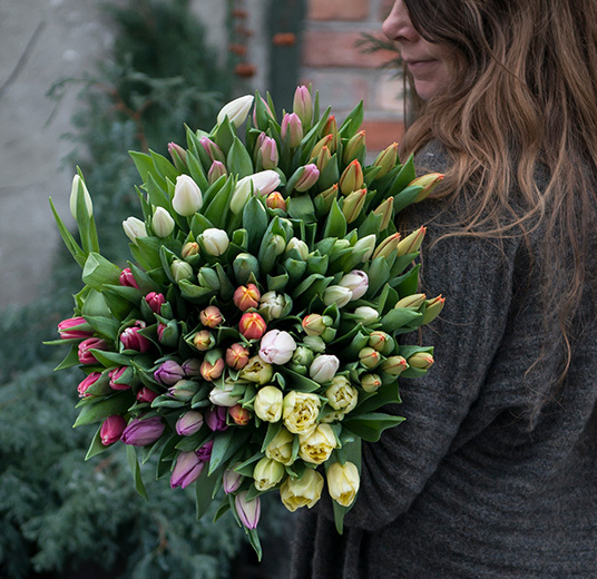 tulipaner-2-tulipanens-dag-ny-2022-floriss.jpg