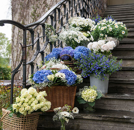 roser-hortensia-lobelia-brudesloer-peoner-margeritter-dsc2020-2.jpg