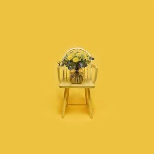 Floriss 21107