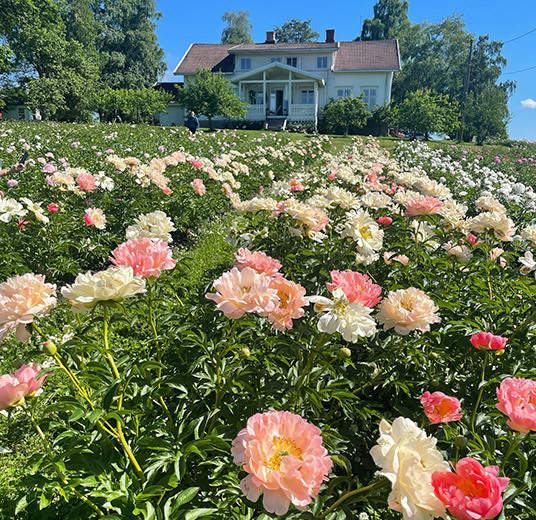 peoner-stanger-gaard-7.jpg