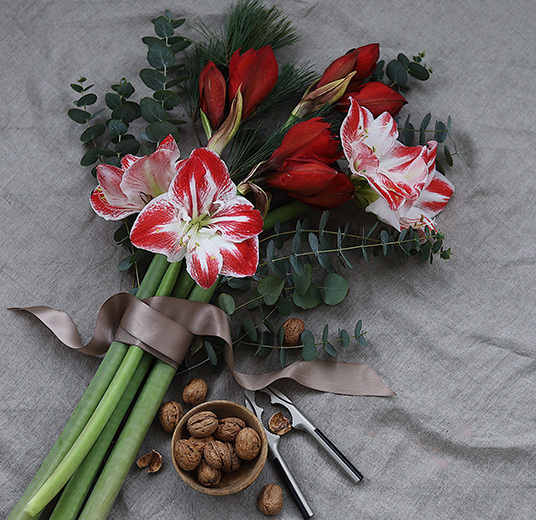 eucalypthus-amaryllis-2.jpg