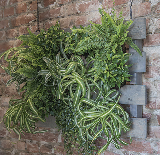 potte-om-plantene-6.jpg