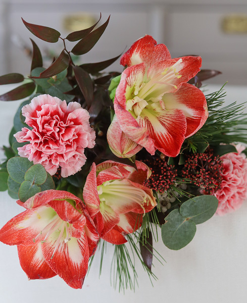 stell-svibler-og-amaryllis-som-snittblomster-2.jpg
