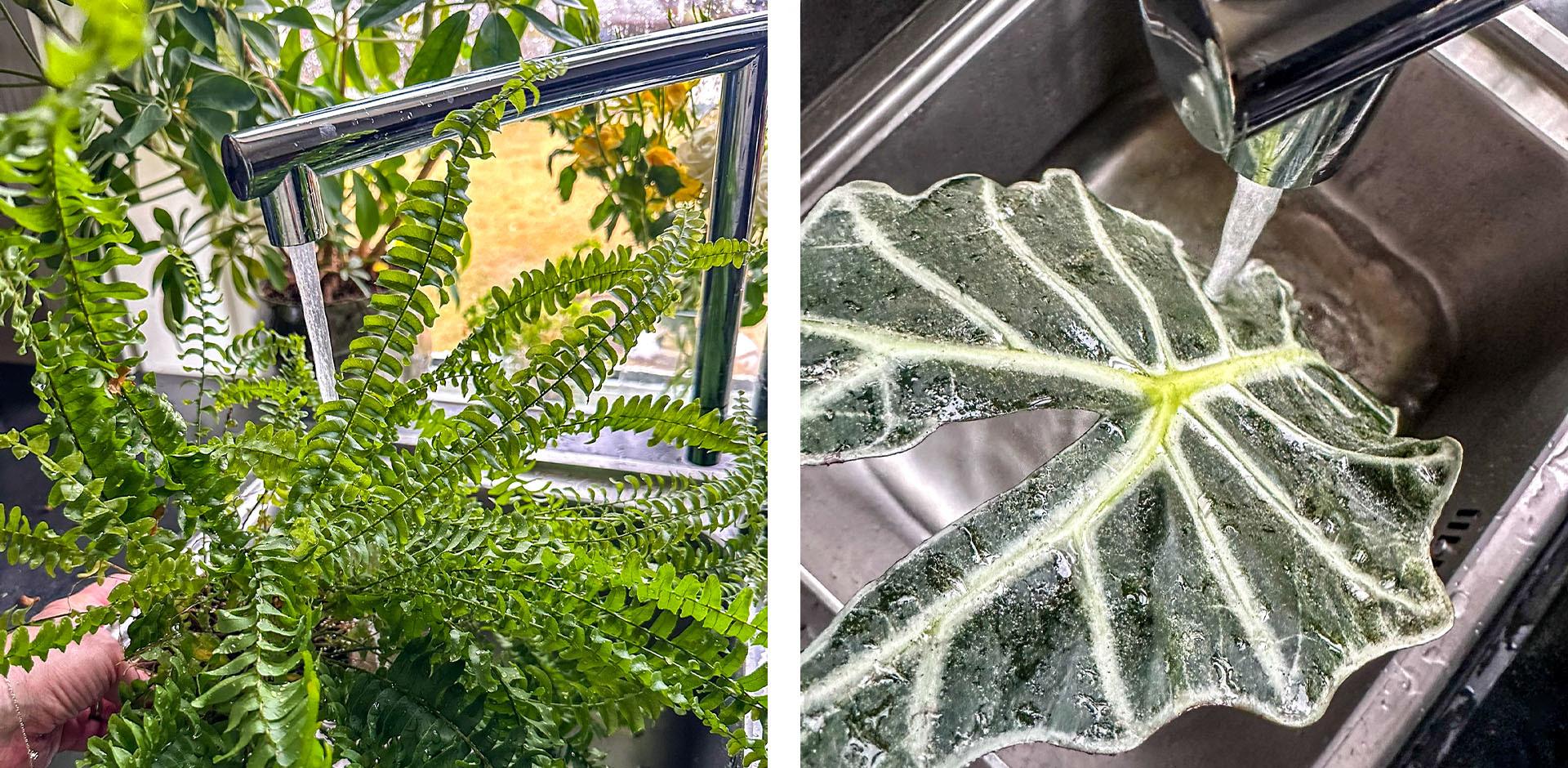 Planter i vasken